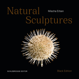 Mischa-Erben_Natural-Sculptures Mischa-Erben_Natural-Sculptures
