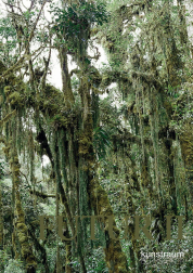 Thomas Feuerstein FUTUR II Thomas Feuerstein FUTUR II