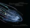 wakolbinger-ransmayr_blackwater galaxies